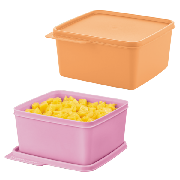 Kit Tupperware Basic Line 2 peças Rosa e Laranja