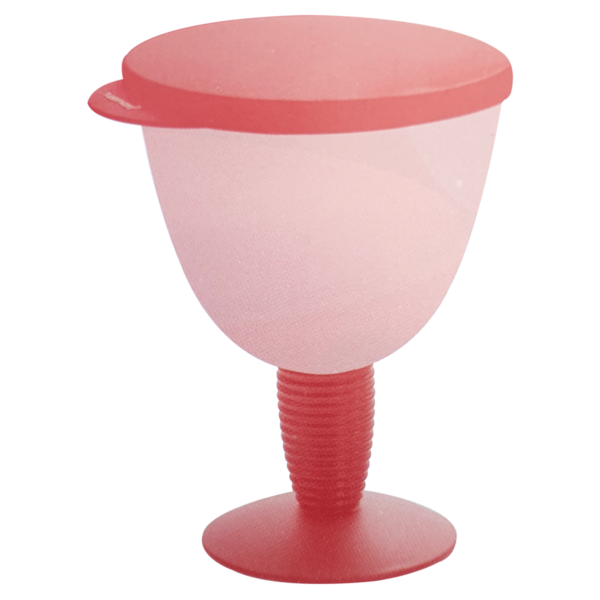 Tupperware Taça Murano 330ml Coral - Image 2