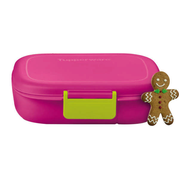 Tupperware Porta Lanches Descomplica Pink