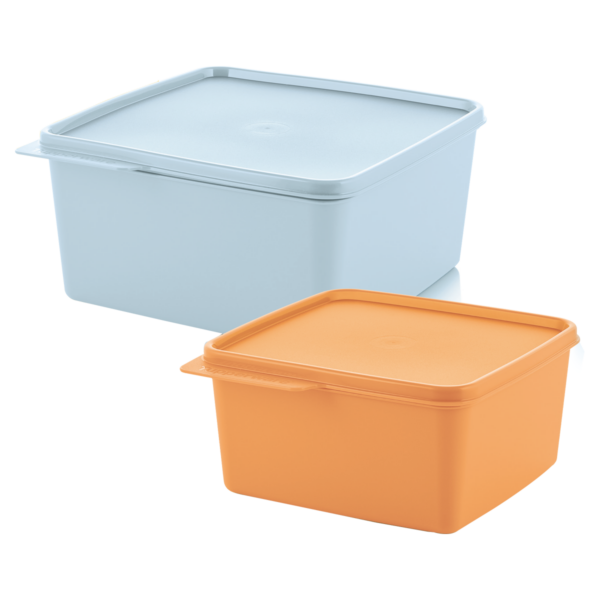 Kit Tupperware Basic Line 2 Peças