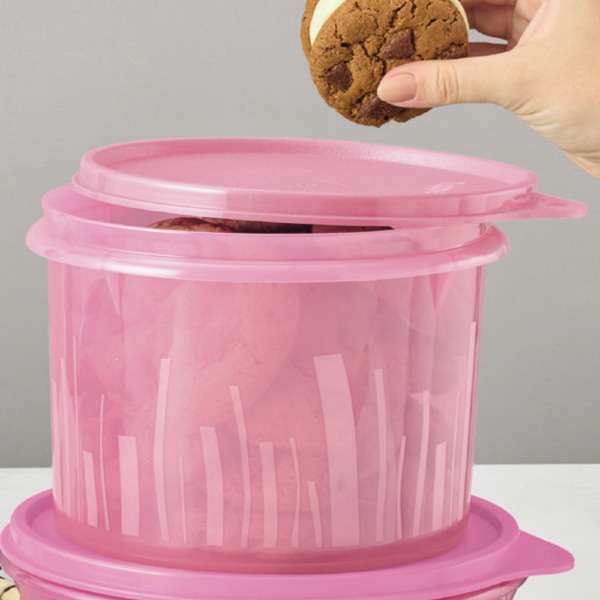 Tupperware Caixa Estilo 1,1 litro