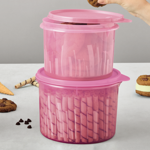 Kit Tupperware Caixa Estilo 2 Peças