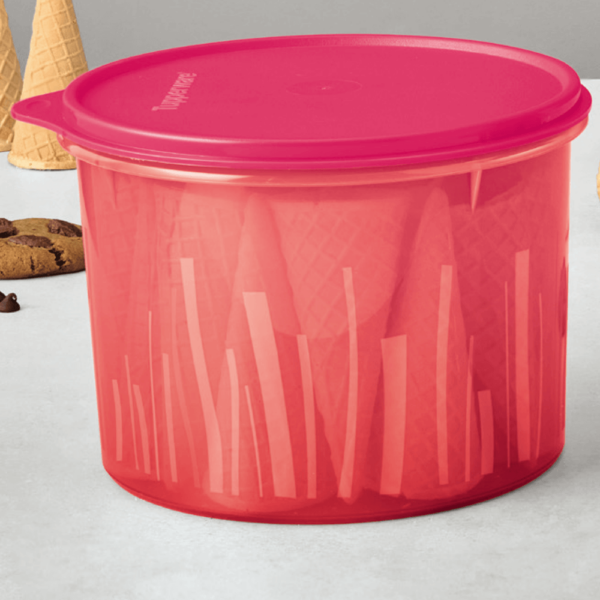 Tupperware Caixa Estilo 2,4 Litros