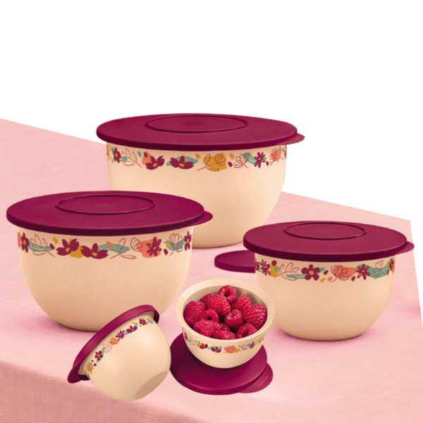 Kit Tupperware Tigelas Murano Flores ao Vento 5 peças