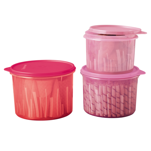 Kit Tupperware Caixa Estilo 3 Peças