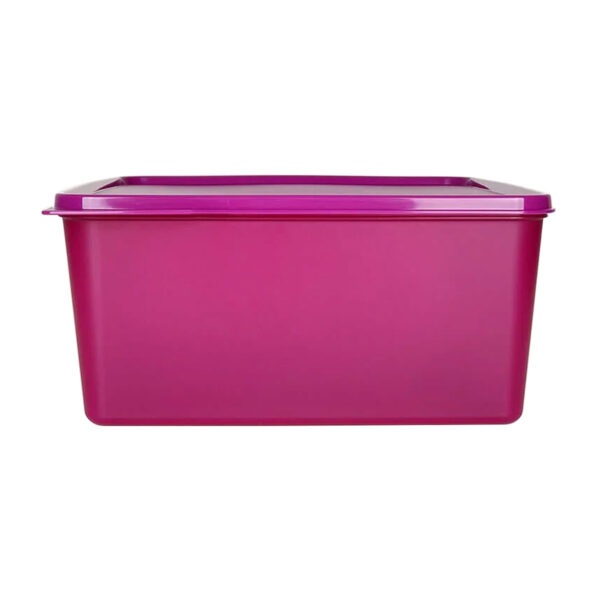 Tupperware Basic Line 5 litros Roxo Rhubarb - Image 2