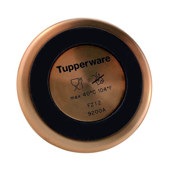 Garrafa Tupperware Eco Tupper Plus Inox 880ml Ouro Squeeze - Image 3