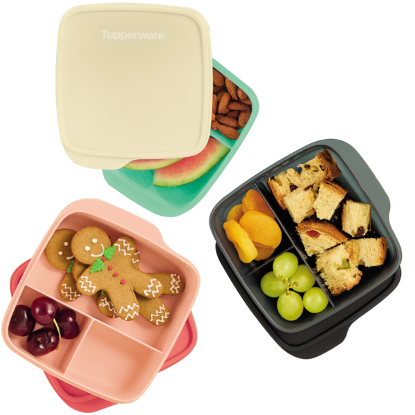 Kit Tupperware Basic Line Com Divisórias 550ml 3 peças - Image 6