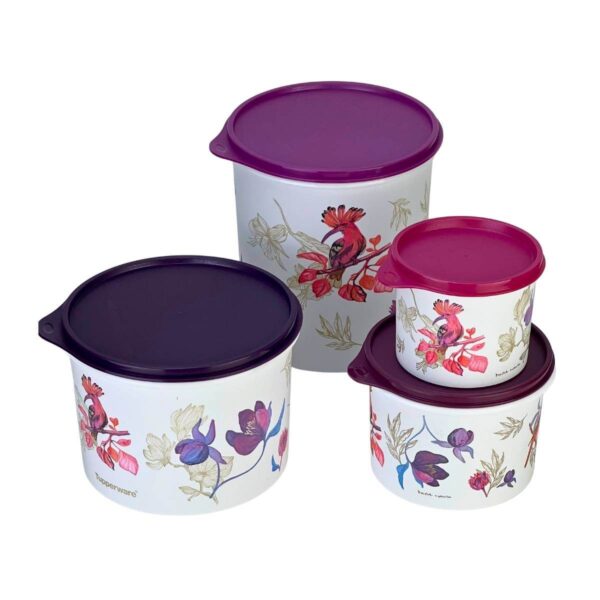 Kit Tupperware Caixas Botânica Aquarela 4 peças - Image 2