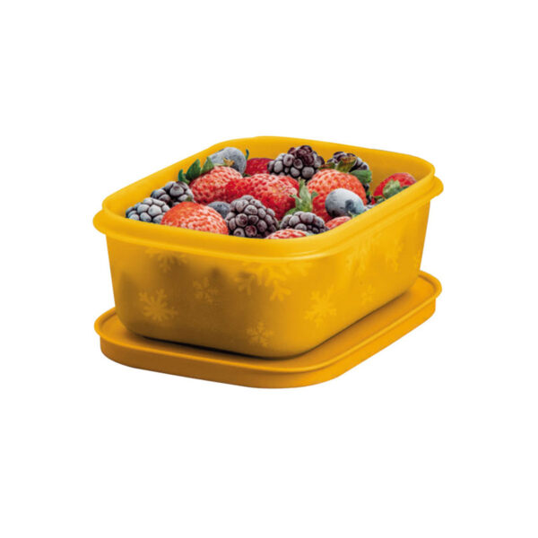 Tupperware Freezer Line 450ml Laranja