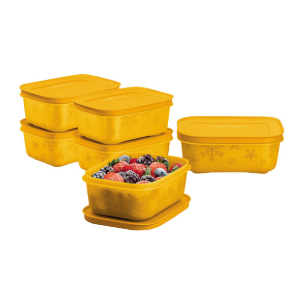 Kit Tupperware Freezer Line 450ml Laranja 6 peças