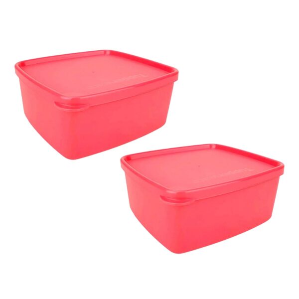 kit Tupperware Jeitosinho 400ml 2 peças Coral