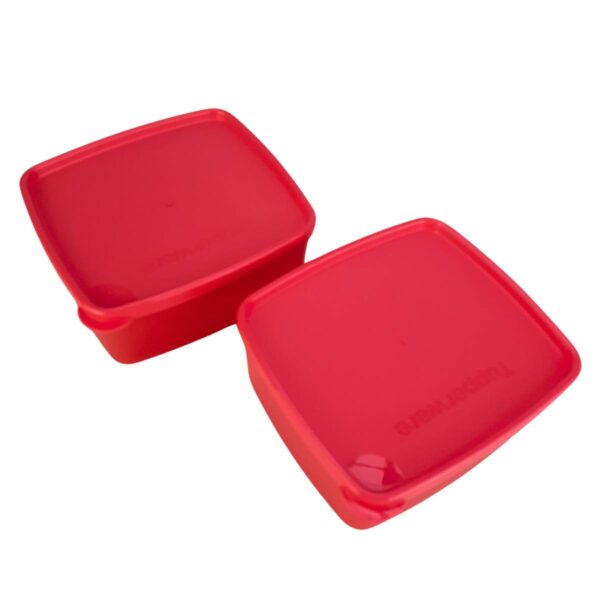 Kit Tupperware Jeitosinho 400ml Coralina 2 peças - Image 2