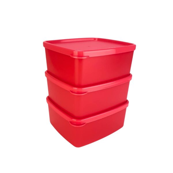 Kit Tupperware Jeitosinho 400ml Coralina 3 peças