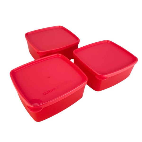 Kit Tupperware Jeitosinho 400ml Coralina 3 peças - Image 3