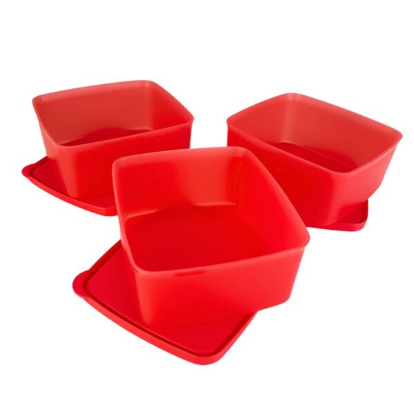 Kit Tupperware Jeitosinho 400ml Coralina 3 peças - Image 2