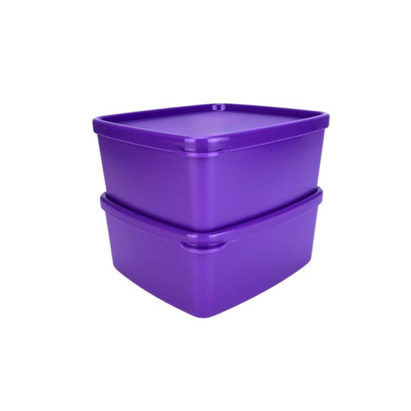 Kit Tupperware Jeitosinho 400ml Roxo 2 peças