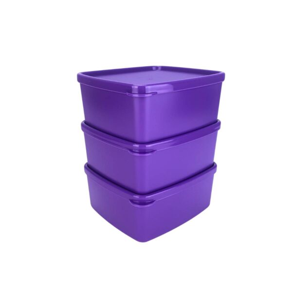 Kit Tupperware Jeitosinho 400ml Roxo 3 peças