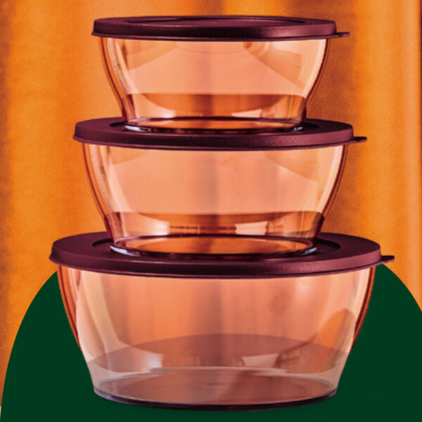 Kit Tupperware Tigela Clear Marsala 3 peças - Image 2