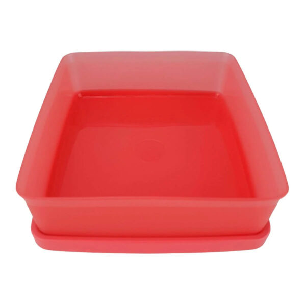 Kit Tupperware Refri Box 400ml Coral 6 peças - Image 4