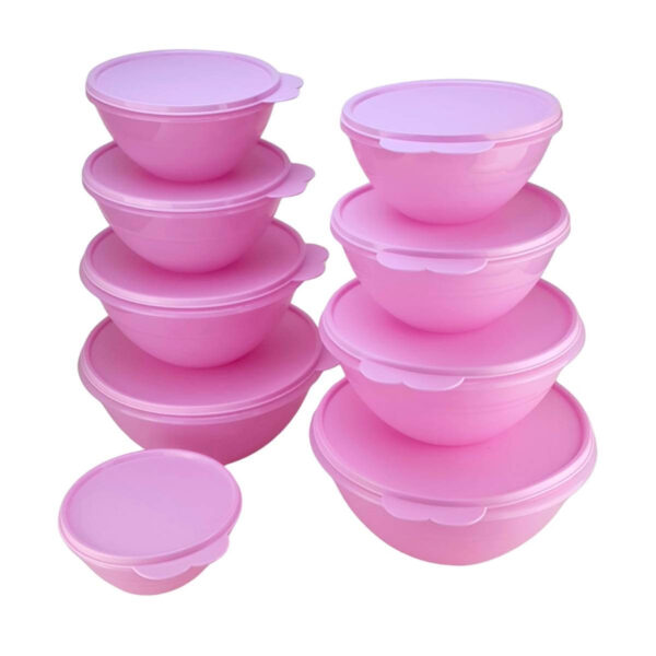 Kit Tupperware PDA 03/2024 Maravilhosa Rosa Translúcido 9 peças - Image 2