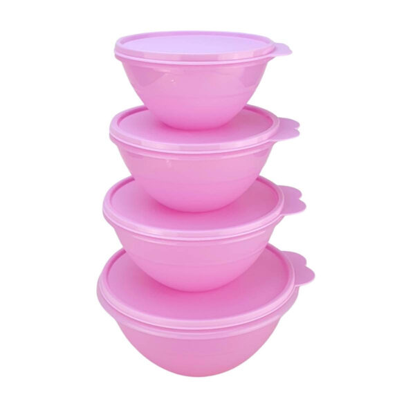 Kit Tupperware PDA 03/2024 Maravilhosa Rosa Translúcido 4 peças