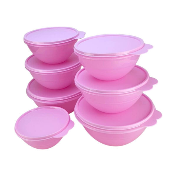 Kit Tupperware PDA 03/2024 Maravilhosa Rosa Translúcido 7 peças - Image 2