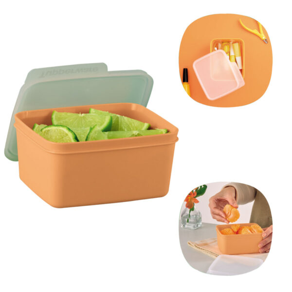 Tupperware Basic Line 500ml Laranja