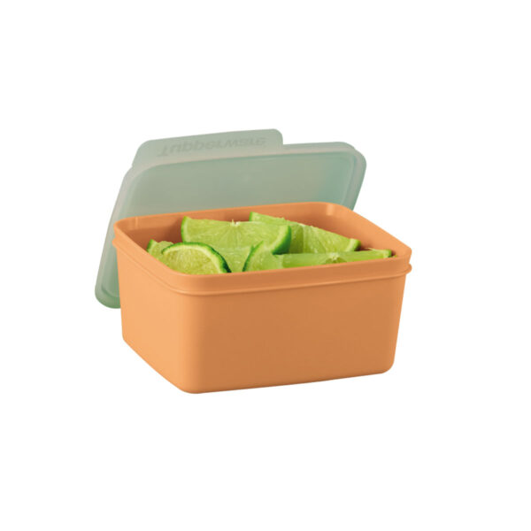 Tupperware Basic Line 500ml Laranja - Image 2