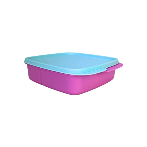 Tupperware Basic Line com Divisórias 550ml Rosa