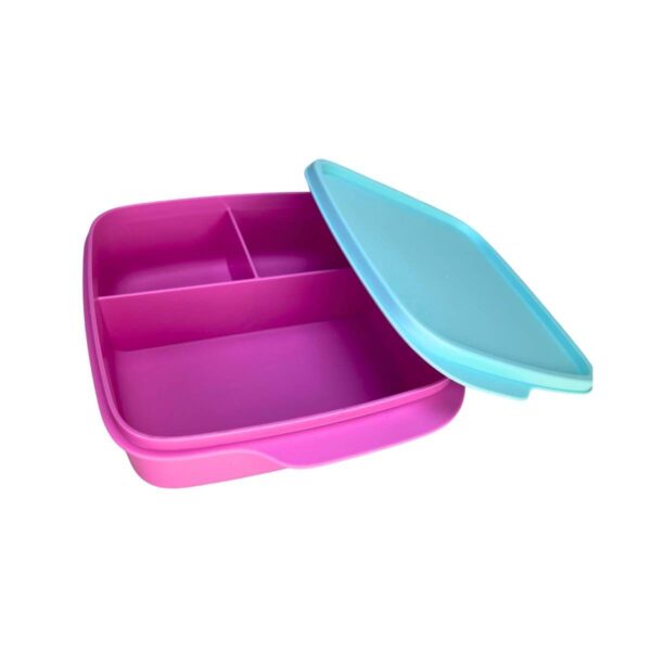 Kit Garrafa Tupperware Eco Tupper Plus 1 litro + Basic Line com Divisórias 550ml
Tutu Rosa kit 2 Peças - Image 6