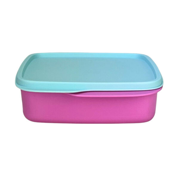 Kit Garrafa Tupperware Eco Tupper Plus 1 litro + Basic Line com Divisórias 550ml
Tutu Rosa kit 2 Peças - Image 5