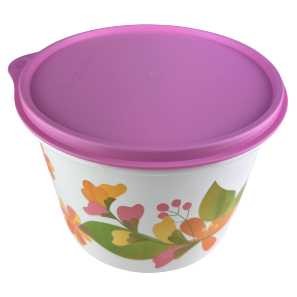 Tupperware Caixa 2,4 Litros Florida - Image 2