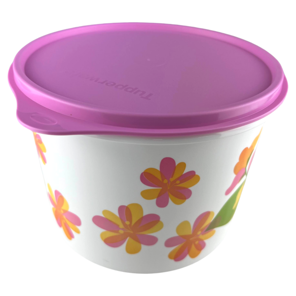 Tupperware Caixa 2,4 Litros Florida - Image 3