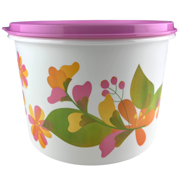 Tupperware Caixa 2,4 Litros Florida