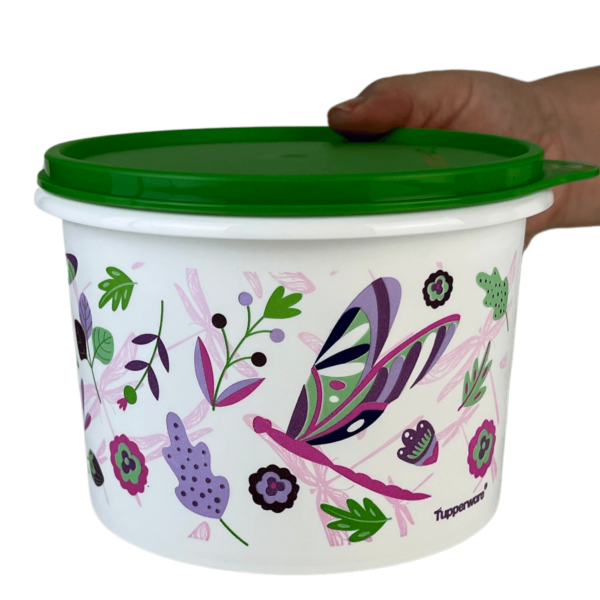 Tupperware Caixa 2,4 litros Libélulas - Image 2