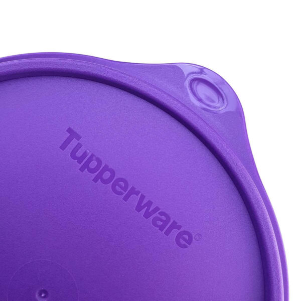 Tupperware Caixa 2,4 litros Roxa - Image 4