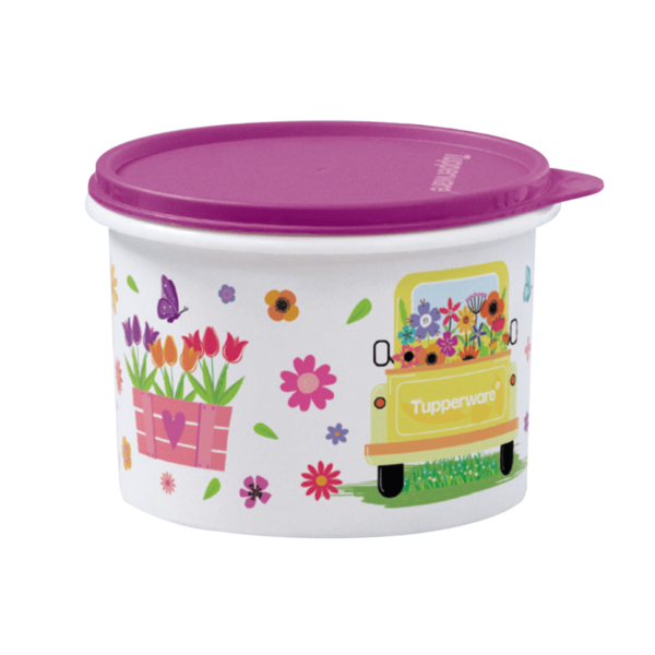 Tupperware Caixa Caminho das Flores 1,1 Litro