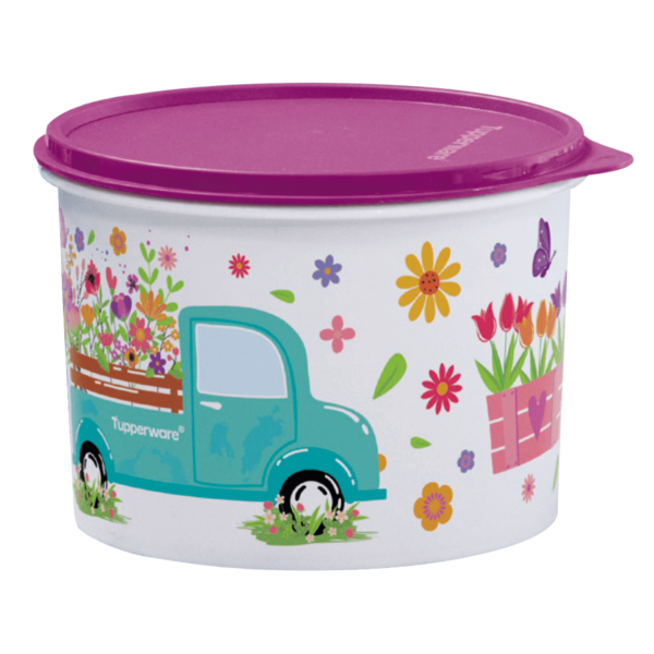 Tupperware Caixa Caminho das Flores 2,4 Litros