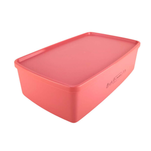 Tupperware Caixa Ideal Mix Frango 1,4 litro Bege - Image 4