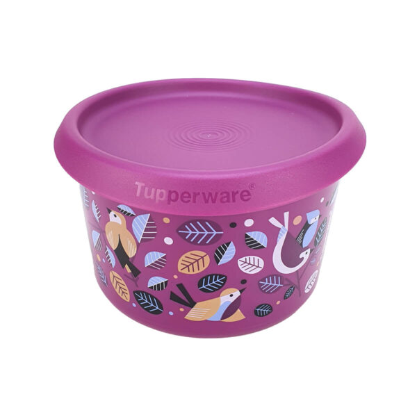 Tupperware Mini Instantânea Jardim dos Pássaros 575ml