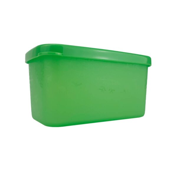 Tupperware Mini Jeitosinho Retangular Neve 200ml Verde-Claro - Image 2