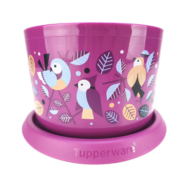 Tupperware Mini Instantânea Jardim dos Pássaros 575ml - Image 2