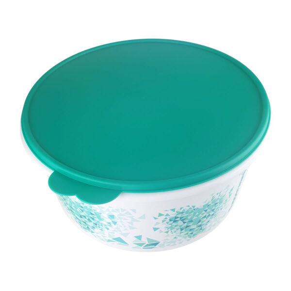 Tupperware Porta Tudo Coração 10 Litros - Image 3