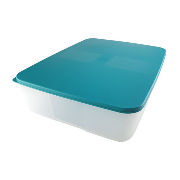 Tupperware Pote para Geladeira Refri Fresh Grande 3,3 litros Verde - Image 2