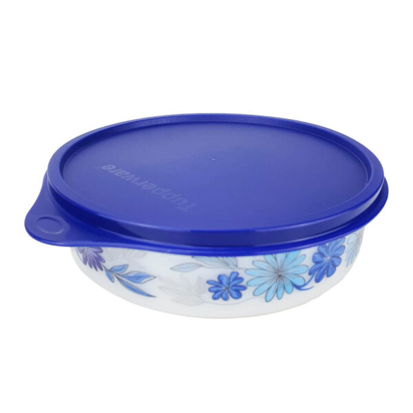 Tupperware Pratinho Aquarela 500ml Azul - Image 4