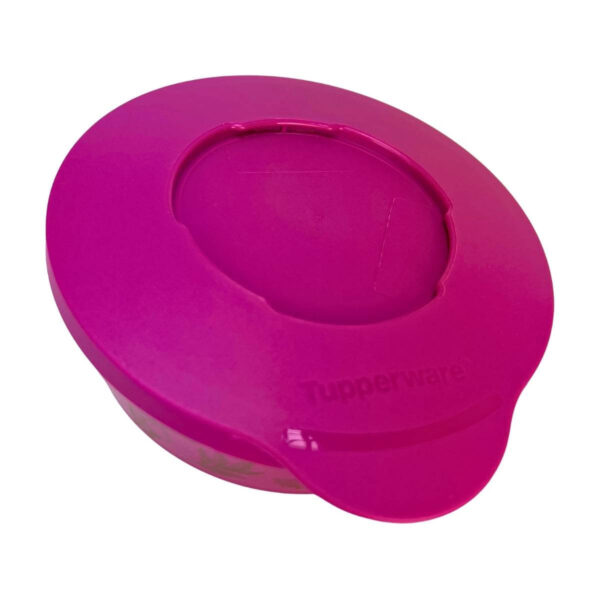 Tupperware Tigela Ilúmina Botânica 350ml - Image 3