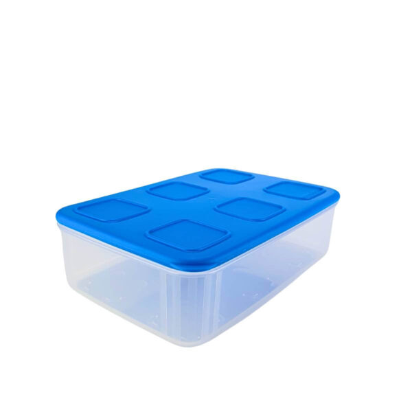 Tupperware Tupperfresh Retangular 1,6 Litro Azul