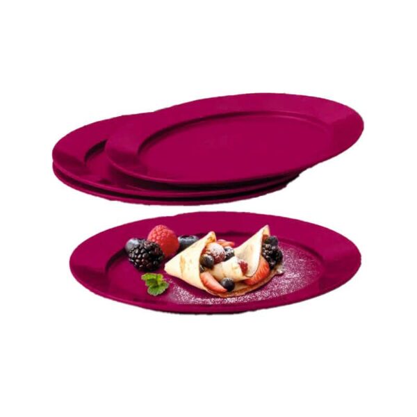 Tupperware Prato Outdoor Vermelho Vinho 4 peças