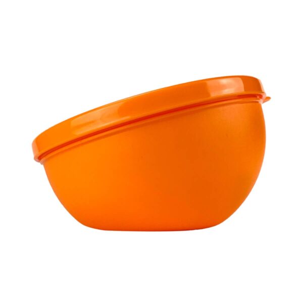 Tupperware Porta Laranja 300ml - Image 2